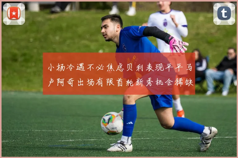 小杨冷遇不必焦虑贝利表现平平马卢阿奇出场有限首轮新秀机会稀缺