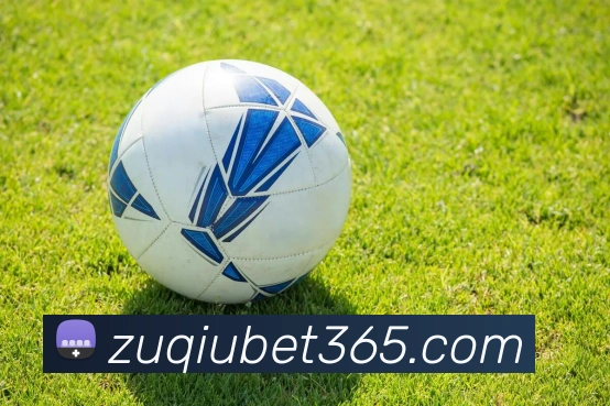 足球投注服务体系